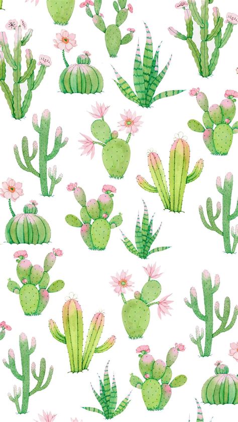 Cactus Pattern Wallpapers Top Free Cactus Pattern Backgrounds