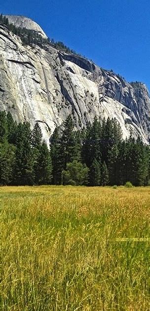 Yosemite Outdooryosemitecaliforniacamping
