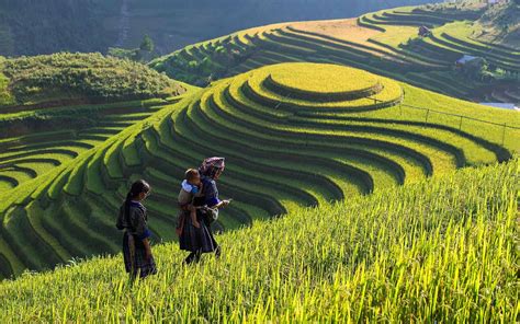 Lao Chai Village Sapa What To Do And See In This Instagram Worthy Spot
