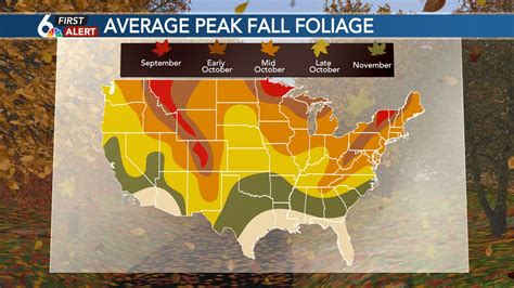 The Science Of Fall Foliage Why Do Leaves Change Color