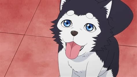 Top 50 Best Anime Dogs Most Popular Of All Time