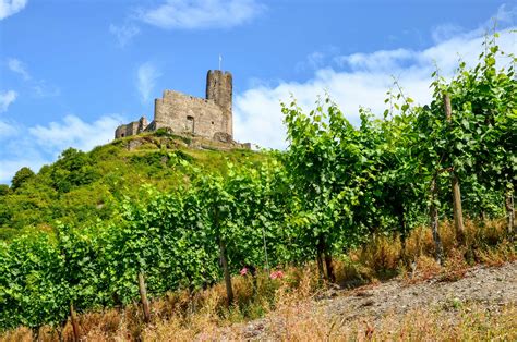 Mosel Wine Region Germany Winetourism