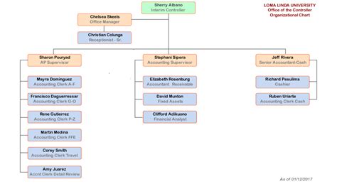 Accounting Organization Chart