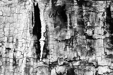 Artist Research Aaron Siskind Photography Dramatic Photography