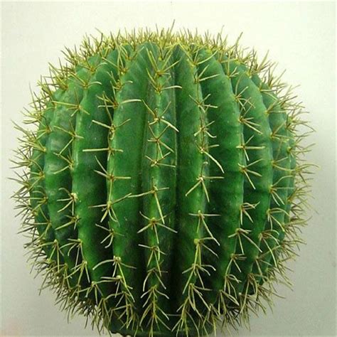 Artificial Evergreen Cactus Plantdecorative Outdoor Cactus On Sale