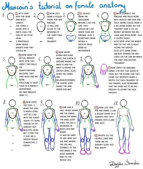 I have been requested to do a step by step tutorial on how to draw female anime characters so here it is 1) draw the upper torso as shown, using the upside down u shape to get the shape of the rib cage. 17 Best images about Anime tuts for Maggie on Pinterest ...