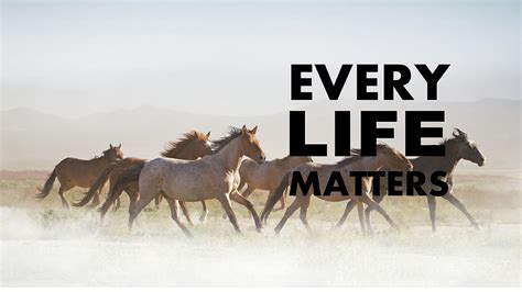 Every Life Matters Photograph By Kristi Johnson Fine Art America