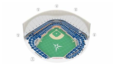 Tampa Bay Rays Stadium Seating Map | Two Birds Home