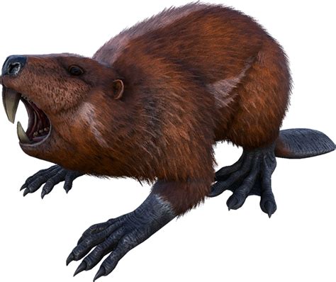 Castoroides Giant Beaver Prehistoric World Prehistoric Creatures