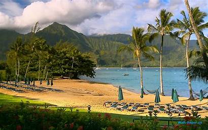 Hawaii Beach Hawaiian Beaches Nature Webshots Background