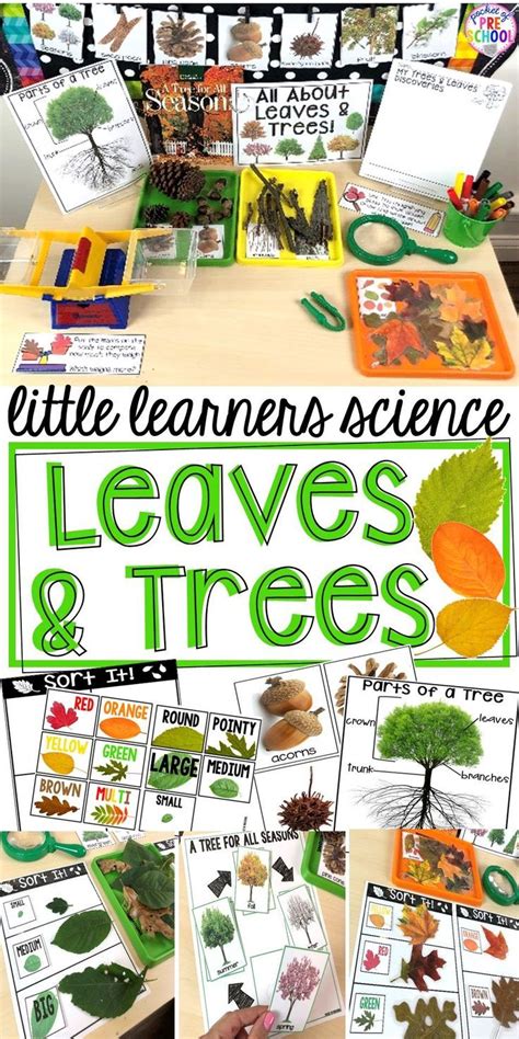 Tree And Leaf Science Center Fall Or Tree Study With Printables