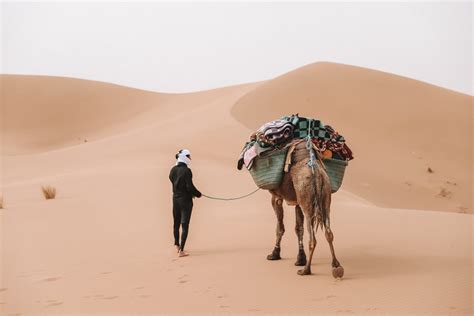 Morocco Desert Trek How To Experience The Real Sahara Desert Walking With Nomads
