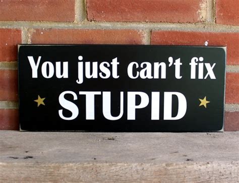 You Can T Fix Stupid Sign