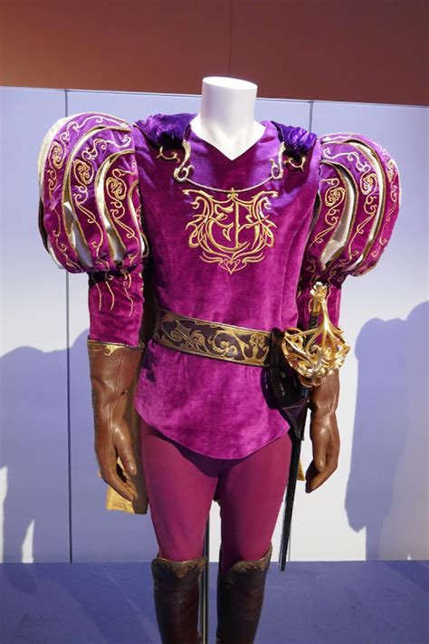 Hollywood Movie Costumes And Props Screen Worn Enchanted Movie