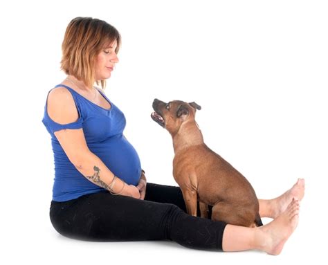 Premium Photo Pregnant Woman And Dog