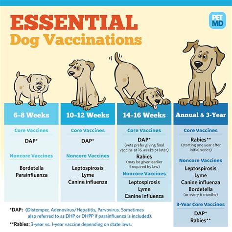 Pet Vaccinations Dog And Cat Vaccines Loving Care Vet Hospital