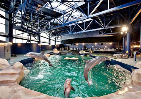 Georgia Aquarium Dolphin Expansion Uzuncase