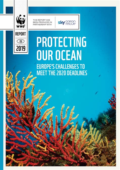 Protecting Our Ocean Europe S Challenges To Meet The Deadlines Wwf