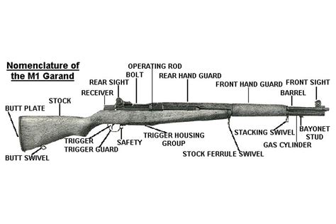 24x36 Gallery Poster M1 Garand Rifle With Important Parts Labeled