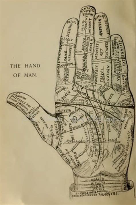 Palmistry Palm Reading Lines Of The Hand Symbols Cheiromancy