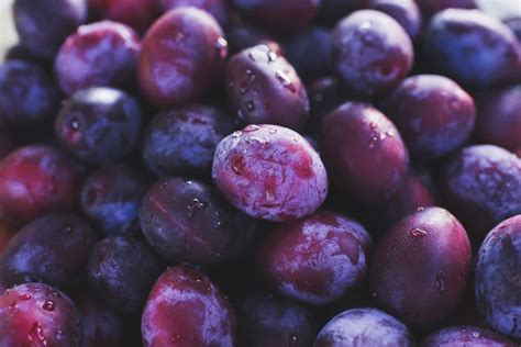 12 Types Of Plums To Grow In The Uk Uk