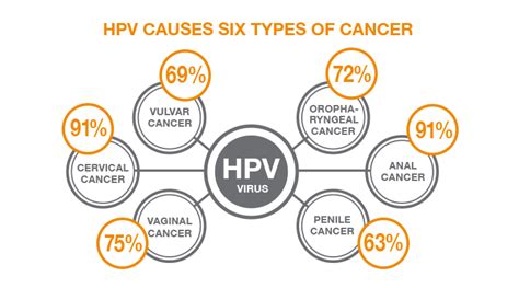 Likelihood Of Hpv Turning Into Cancer Cancerwalls