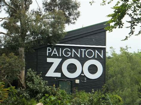 Top Ten Tips For Getting The Most Out Of Paignton Zoo We Are South Devon