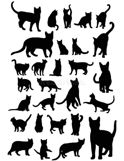 collection of cat vector stock vector illustration of stretch 3665865