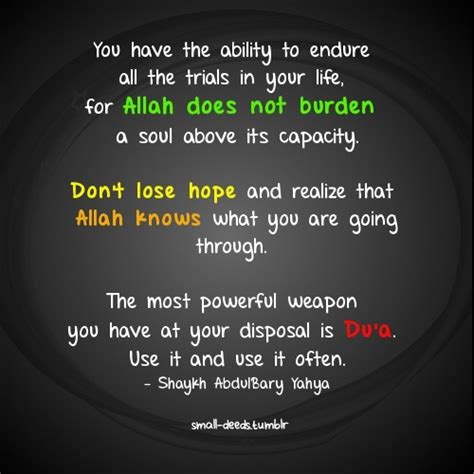Dont Lose Hope Inspirational Islamic Quotes