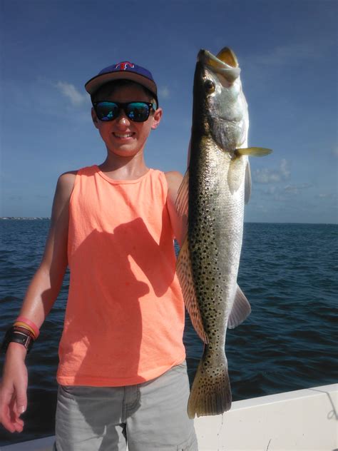Fishing In Sarasota A Complete Guide Siesta Key Fishing Charters