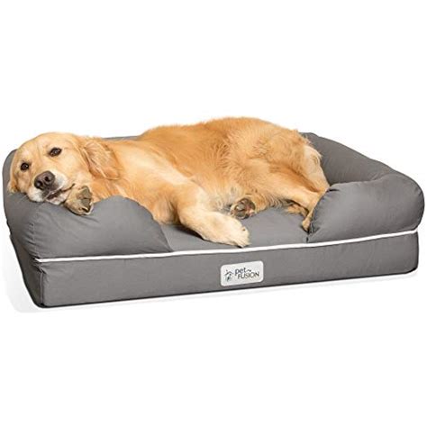 Top 10 Best Dog Beds For Older Dogs Reviews 2022
