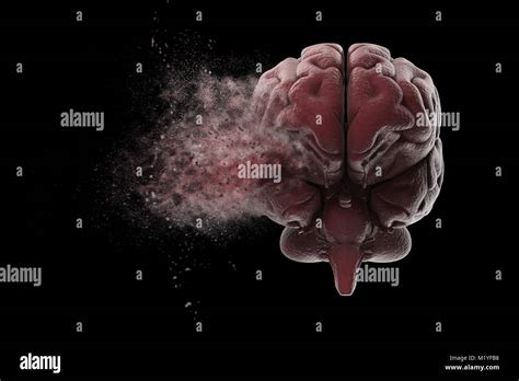 Exploding Brain Hi Res Stock Photography And Images Alamy
