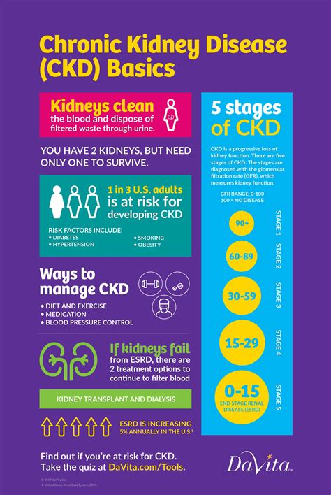 One In 3 Us Adults Is At Risk For Developing Chronic Kidney Disease