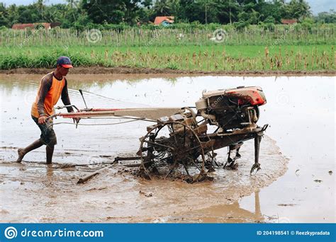 Indonesia Farmer Plowing A Rice Field Using Tiller Tractor Editorial