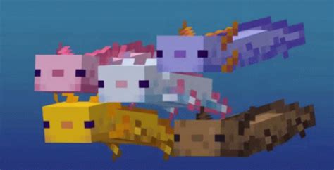 Minecraft Caves And Cliffs Comment Faire Apparaître Axolotl Dans Votre
