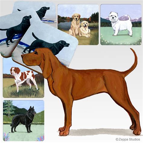 Redbone Coonhound Note Cards