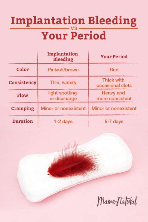 37 Best Period Images In 2020 Period Menstrual Period Hacks