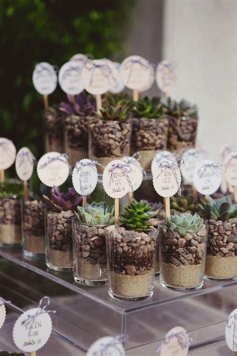 Succulents are so popular these days! 65+ Great Eye-Popping Succulent Photos For Wedding Ideas