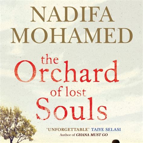 nadifa mohamed s the orchard of lost souls a realistic depiction of the somalia of the 80s