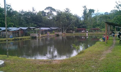 Servis adalah pukulan bola pertama mengawali pertandingan telah dimulai. Jom Sertai Pertandingan Memancing di Kolam Pancing Pesona ...