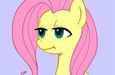 animated gif pony 34 rule gifs fluttershy mlp crap tired template funny blank original megasweet project equestria imgflip