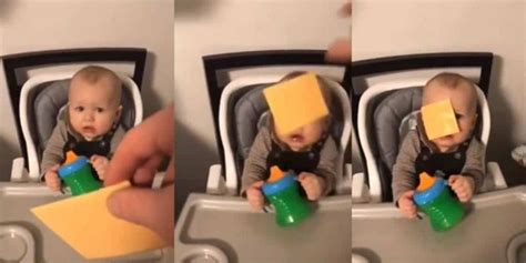 Por que virou viral jogar fatias de queijo na cara de bebês TargetHD net