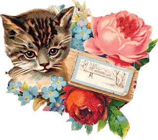 Zibi Vintage Scrap: Kociaki | Kittens vintage, Vintage cat, Vintage illustration