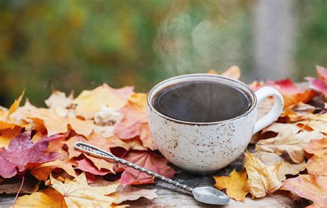 Wallpaper Autumn Leaves Wood Autumn Leaves Coffee Cup A Cup Of