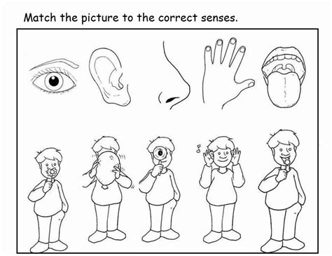 The Five Senses Coloring Pages Coloring Home