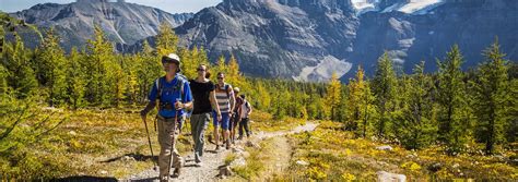 Banff Guided Hikes Hiking Tours In Lake Louise And More