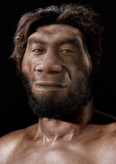 Pin On Ape Men And Proto Humans