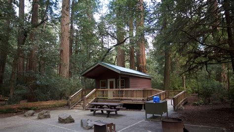 Redwood National Park Hosts Beautiful Cabins To Rent At A Great Price