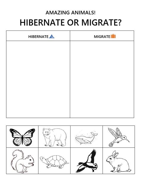 Hibernation Or Migration Animal Sorting Migration Lessons