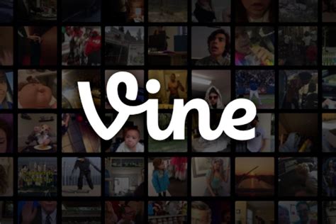 7 Lessons Entrepreneurs Can Learn From Vines Demise